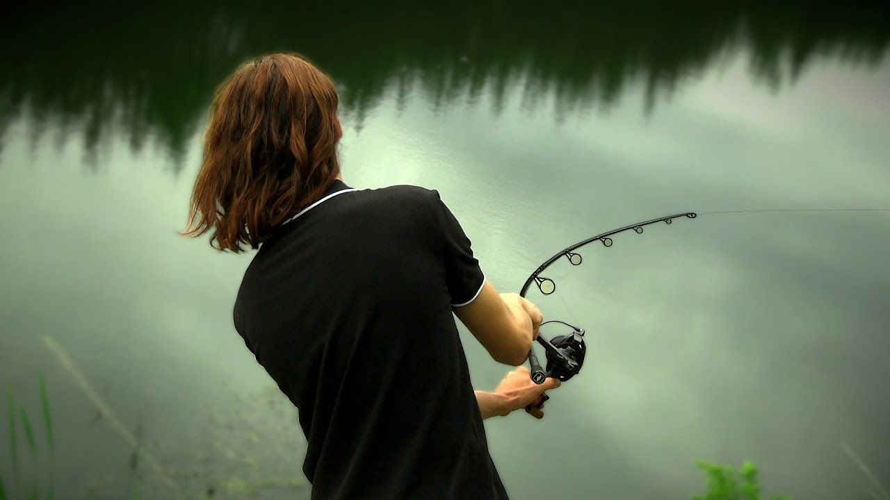 Te Potwory Pływają w Moim Stawie!