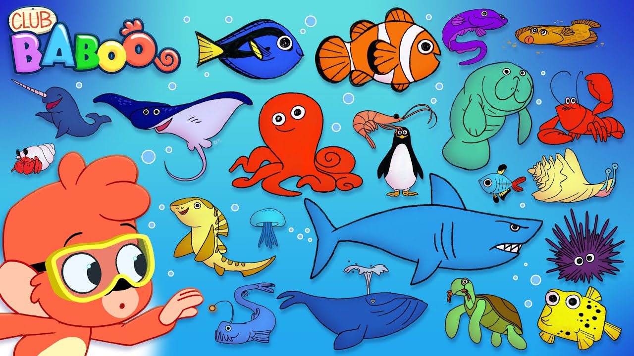 Животное ABC | изучите алфавит с 26 мультфильмами Ocean Animals