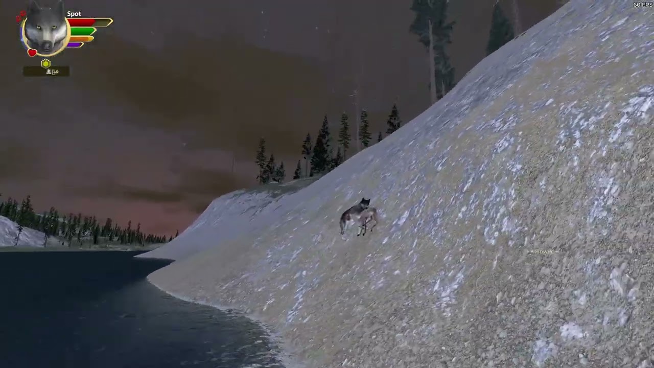 Wolf Quest: Anniversary Edition