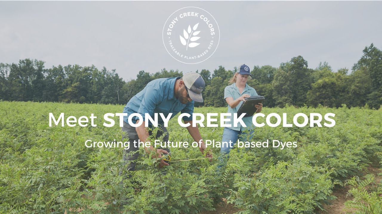 Meet Stony Creek Colors