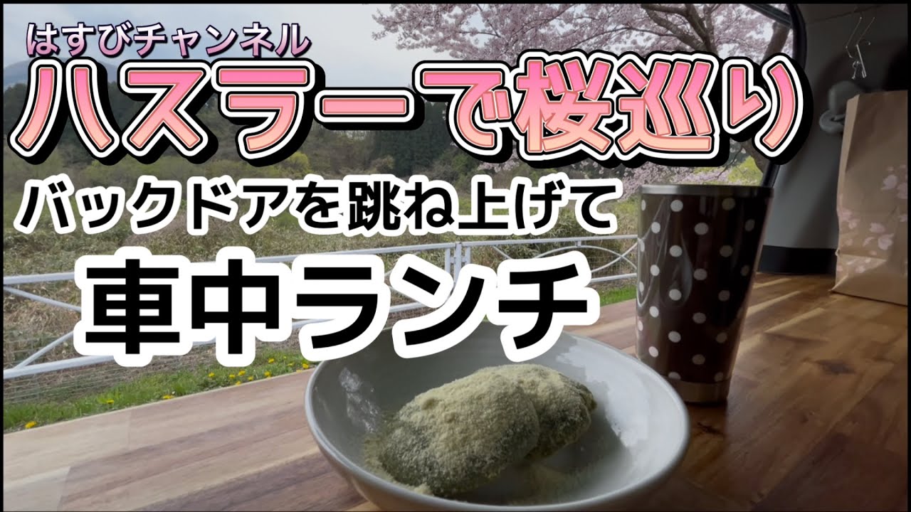 【ハスラーと一緒】ハスラーで桜巡りバックドアを跳ね上げて車中ランチ