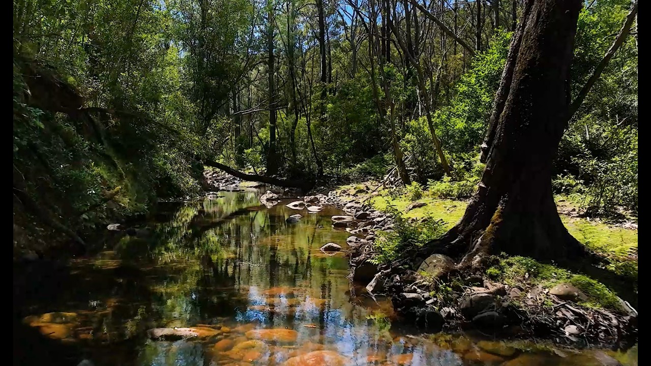 Lot 86 Abernethys Road, Kangaroo Valley