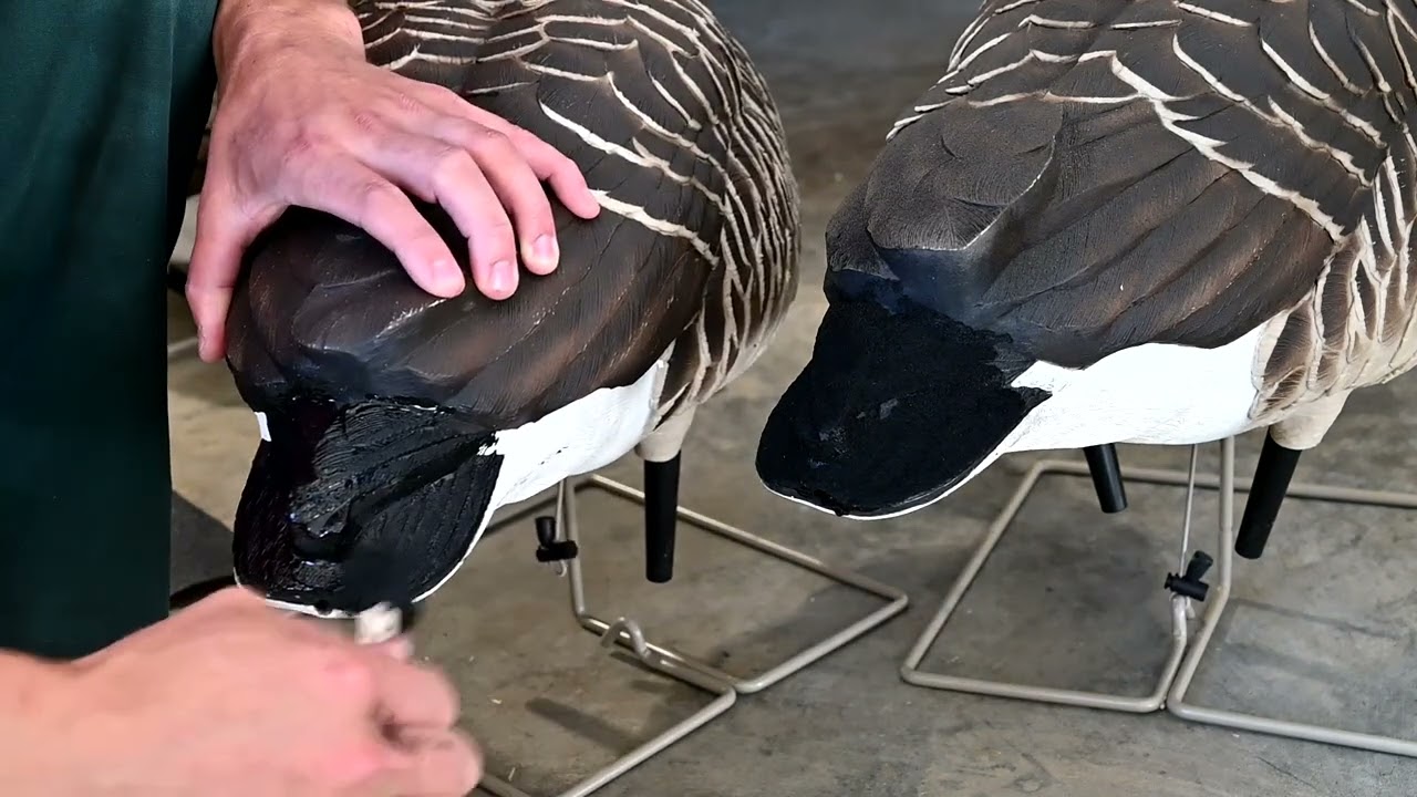 How to flock Canada Goose decoy tails