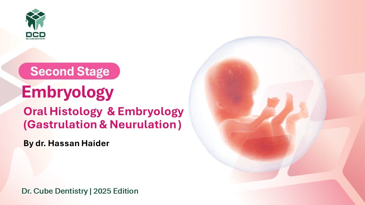 Oral Histology  & Embryology Lec.3 (Gastrulation & Neurulation )