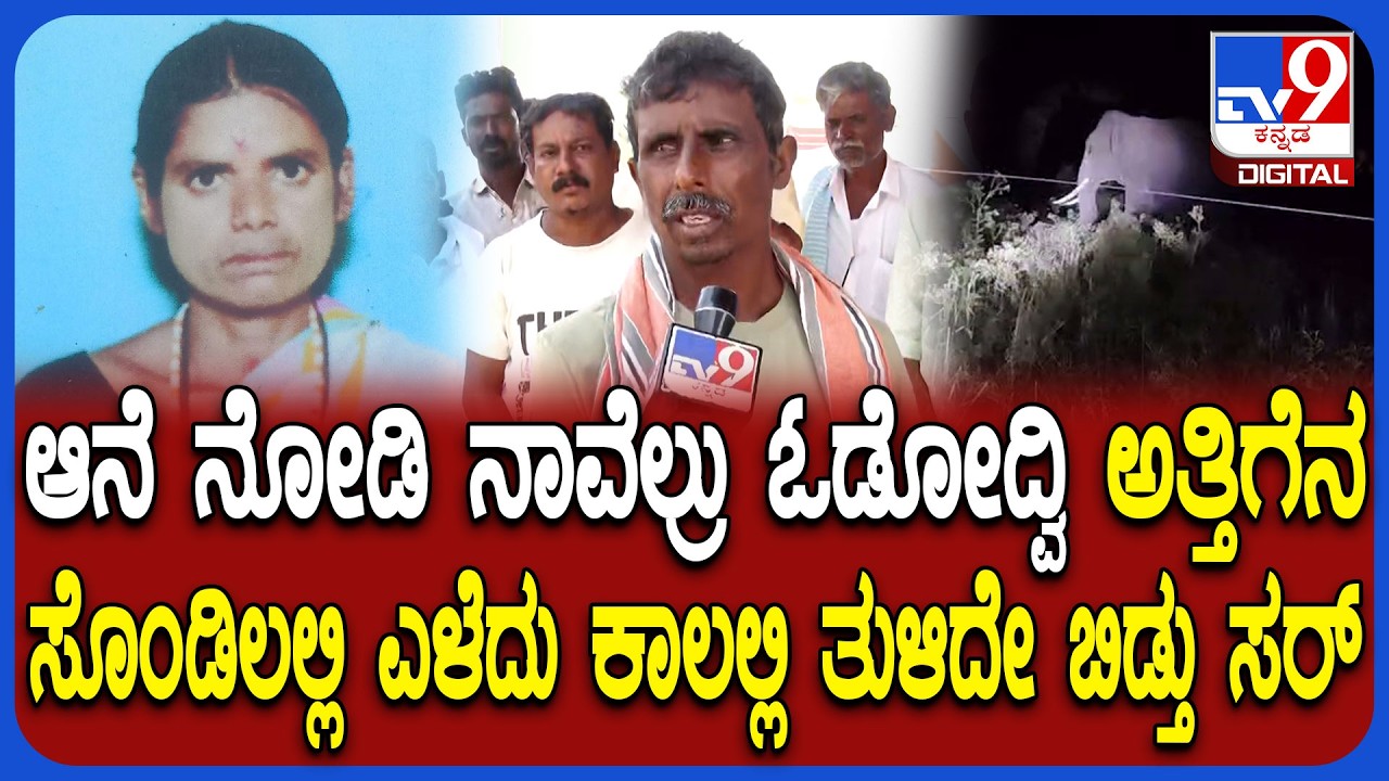 Elephant ದಾಳಿಗೆ ಮಹಿಳೆ ಬಲಿ.. ಪ್ರತ್ಯಕ್ಷದರ್ಶಿ ಬಿಚ್ಚಿಟ್ಟ ಭಯಾನಕ ಸ್ಟೋರಿ | #TV9D