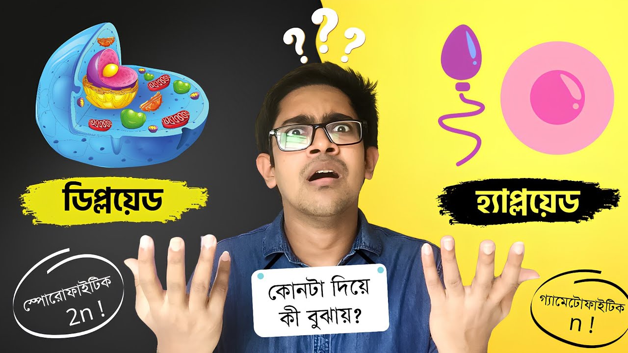 🔥 Haploid Vs Diploid - আমি পারলে সবাইকে এই ভিডিওটা দেখাতাম! | HSC 2027 | SSC 2026 | Biology Adda