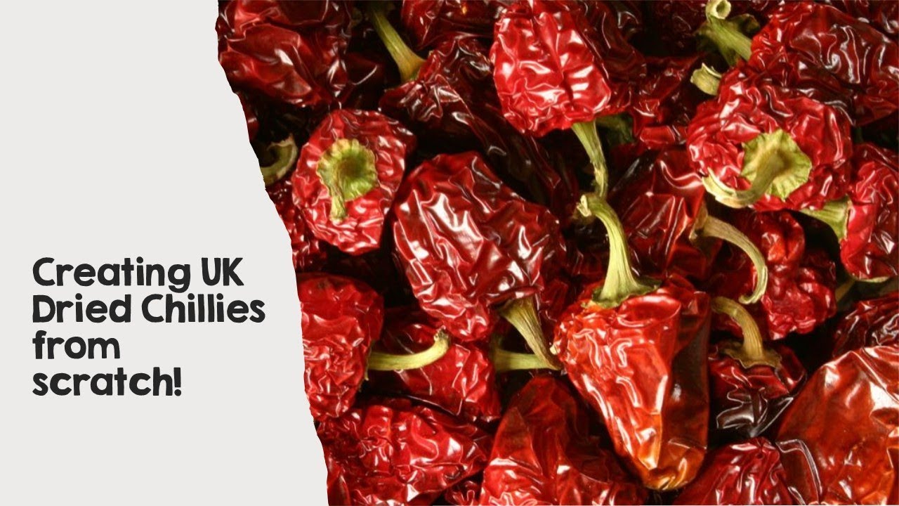Creating UK Dried Chillies from Scratch!