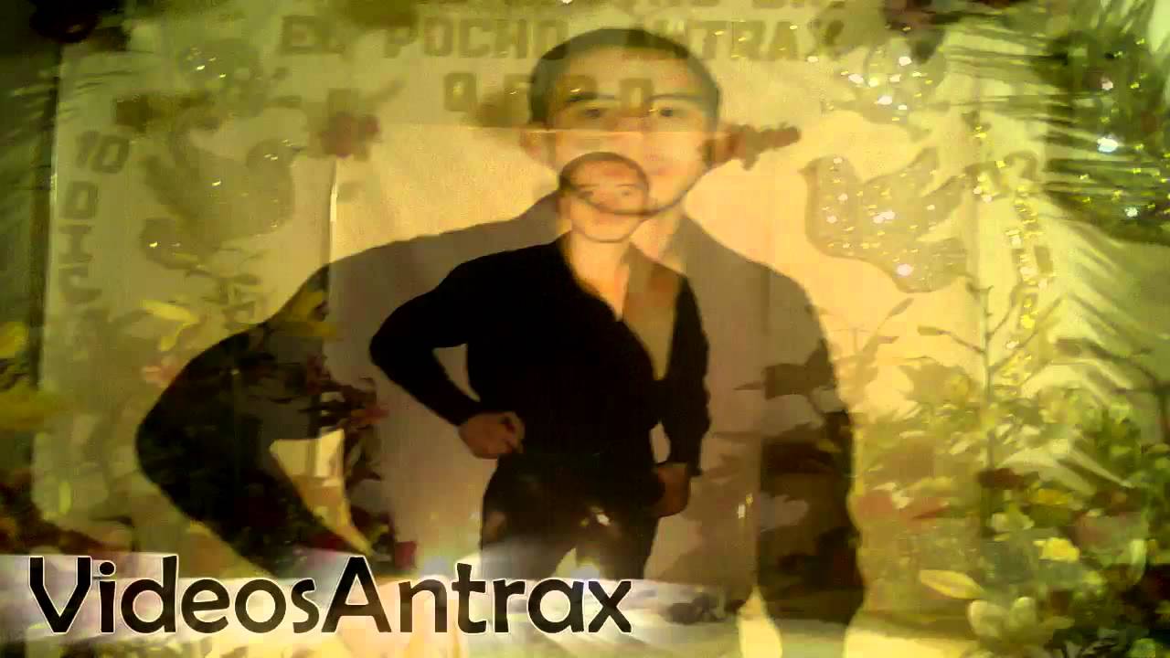 Brota la Sangre - El compa Danny [El Pocho Antrax] (Estudio 2012)