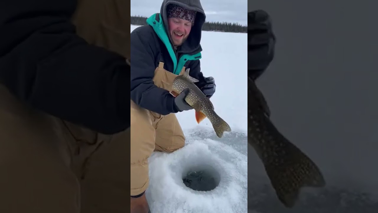 INSANE Splake HYBRID Trout on Tip Up - Ice Fishing 