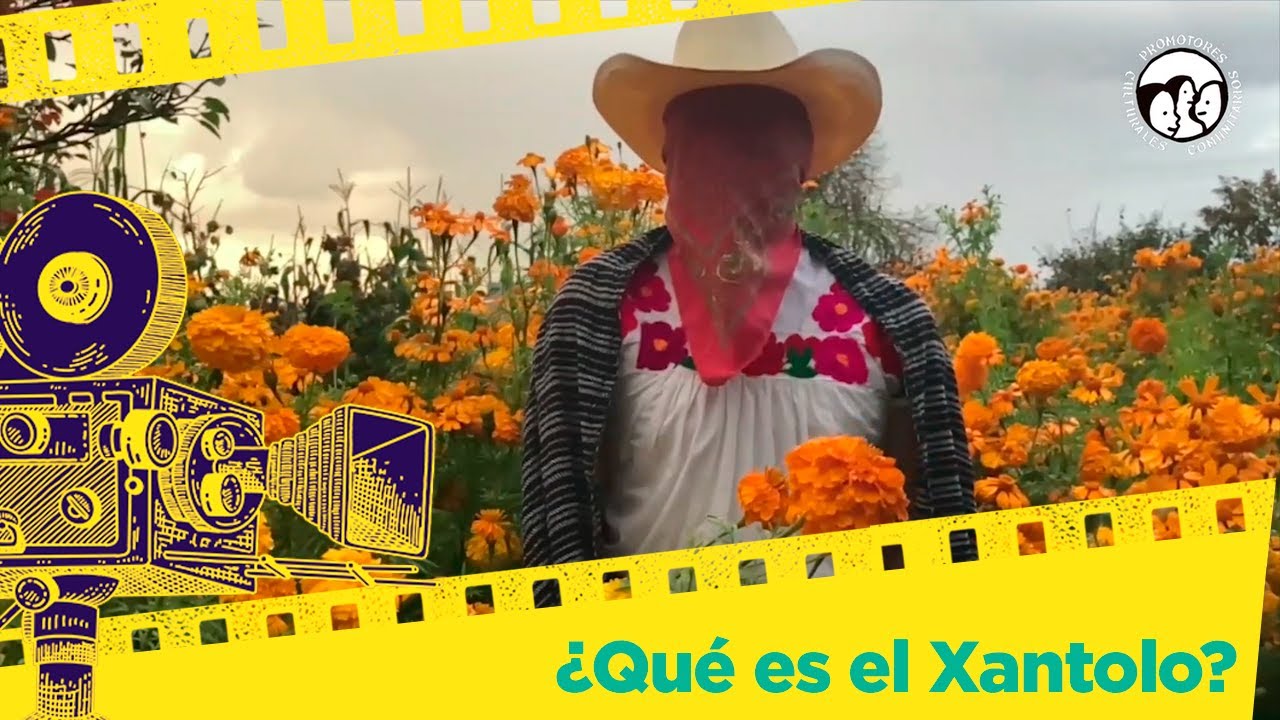 &iquest;Qu&eacute; es el Xantolo?