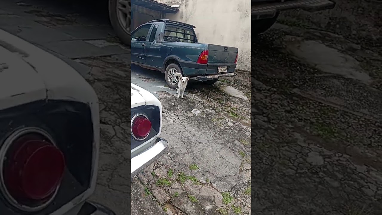 bora pro rolê de ratao