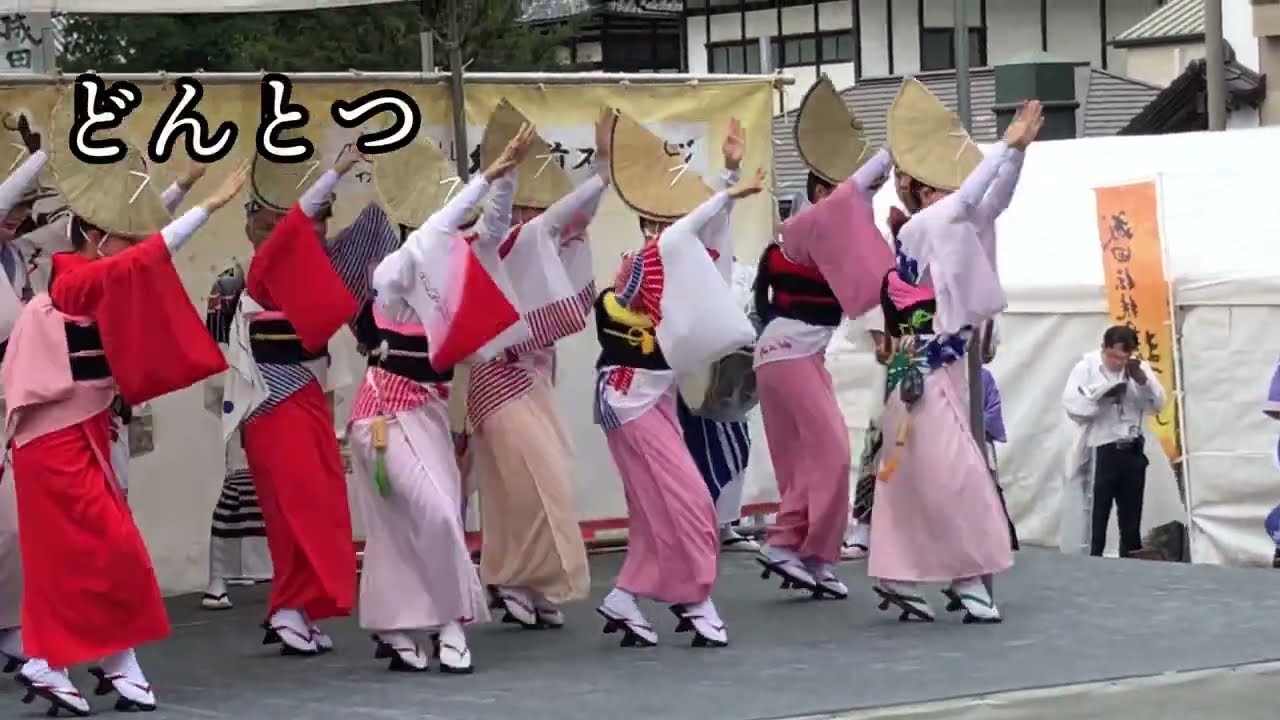 【阿波踊り】阿波踊りでよく使われる曲（音楽）をまとめてみました。曲名表示あり！ awaodori festival