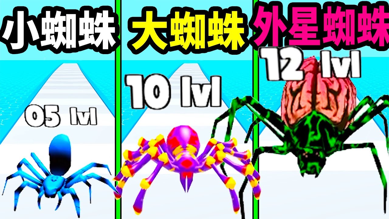我是一隻小蜘蛛,目標是成為最強大的蜘蛛王｜Insect Evolution