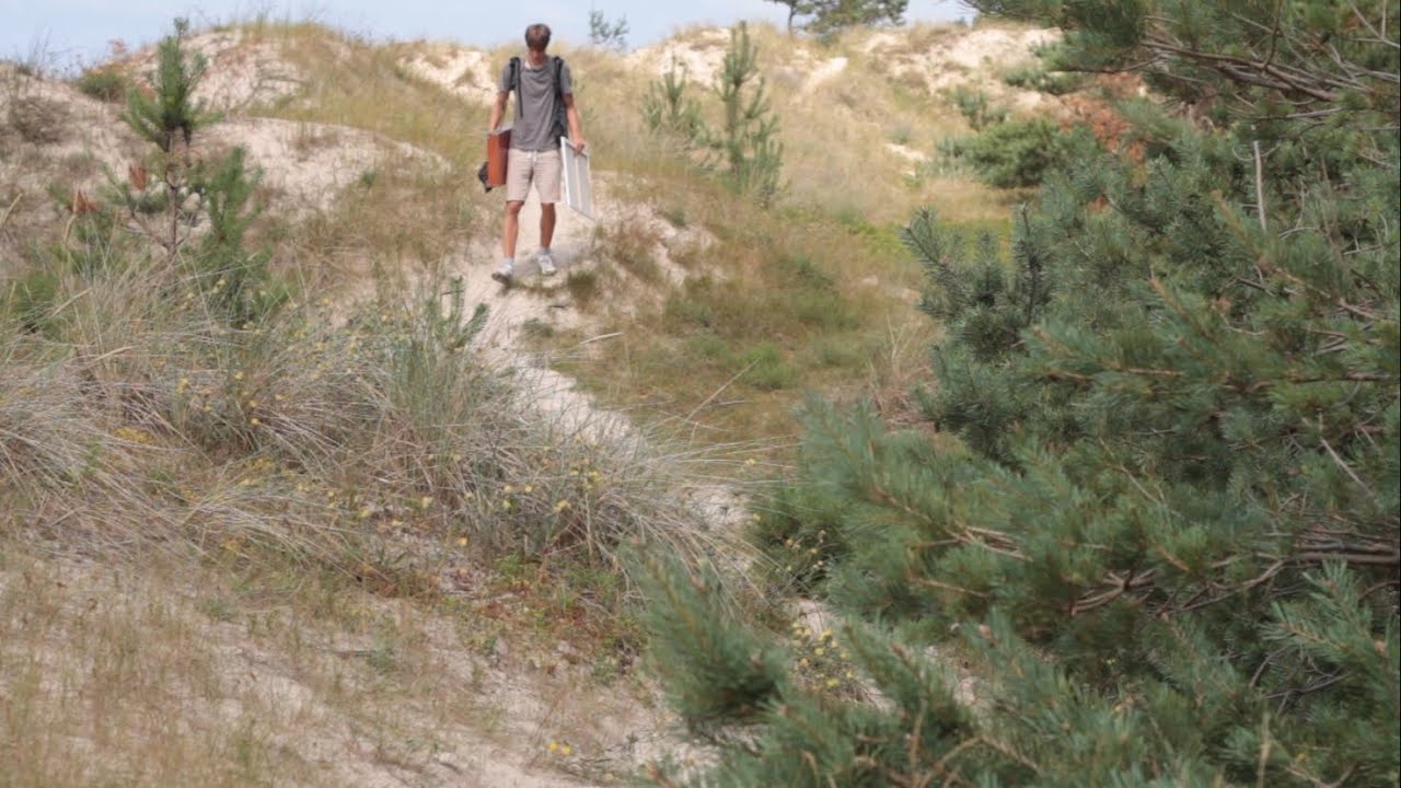 Plein Air Painting - Quick 70x50cm. Oil on Canvas Etude, Palanga - Jonas Vasiliauskas