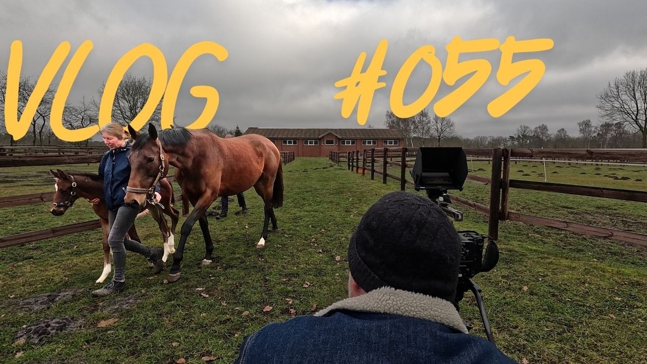 Daily Vlog #055 | 0 Heizung, 0 Warmwasser, 100% Chaos | Fohlen-Dreh & Location-Scouting