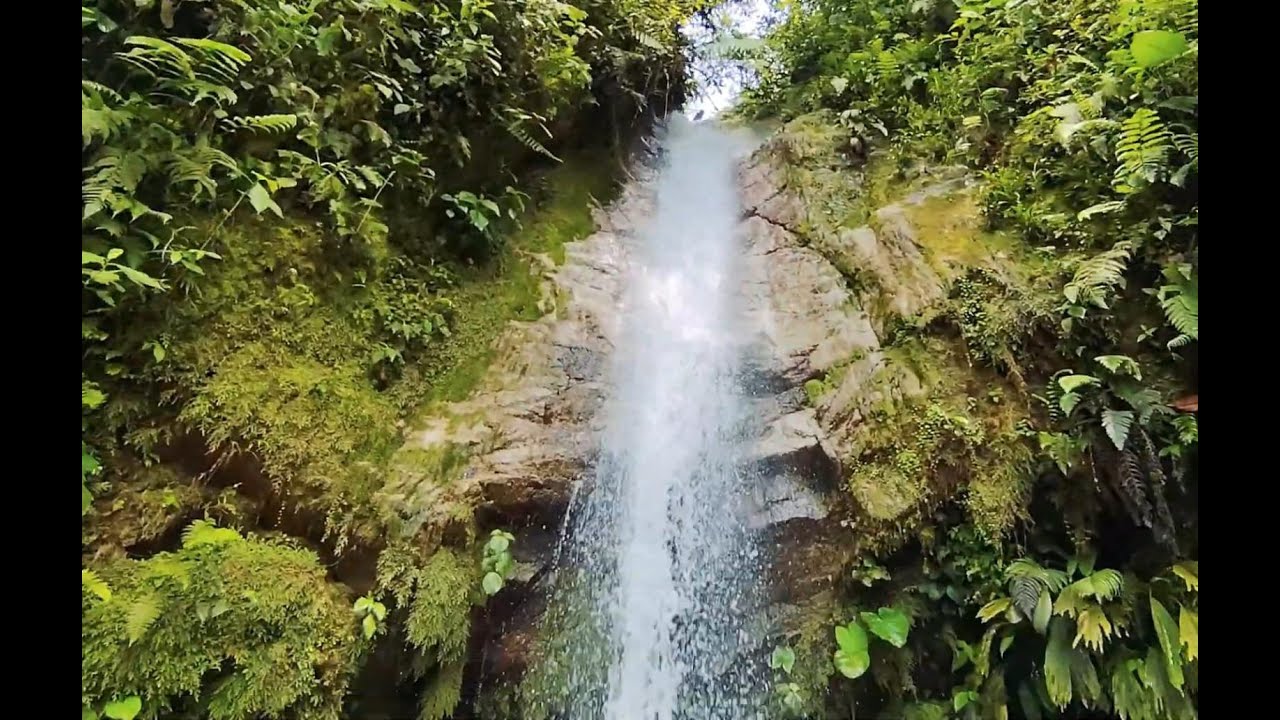 los generosos - banda regional.