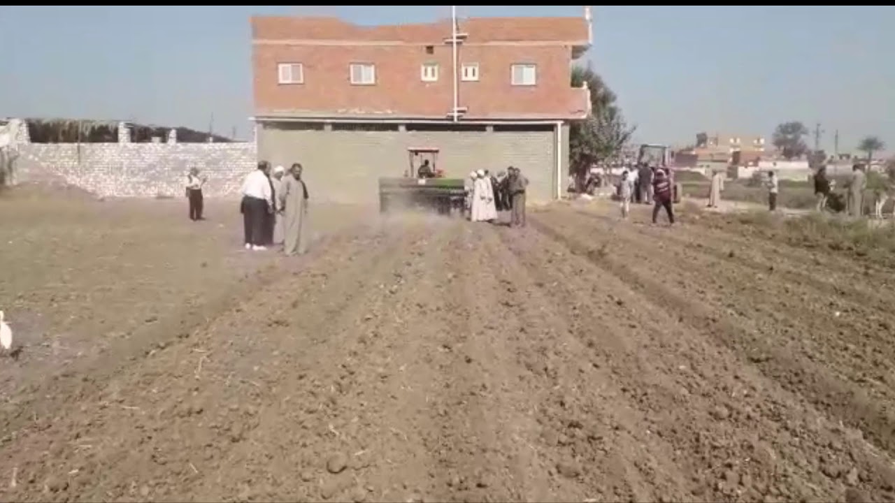 زراعة القمح بالسطارة في حقل إرشادي بمحافظة الفيوم