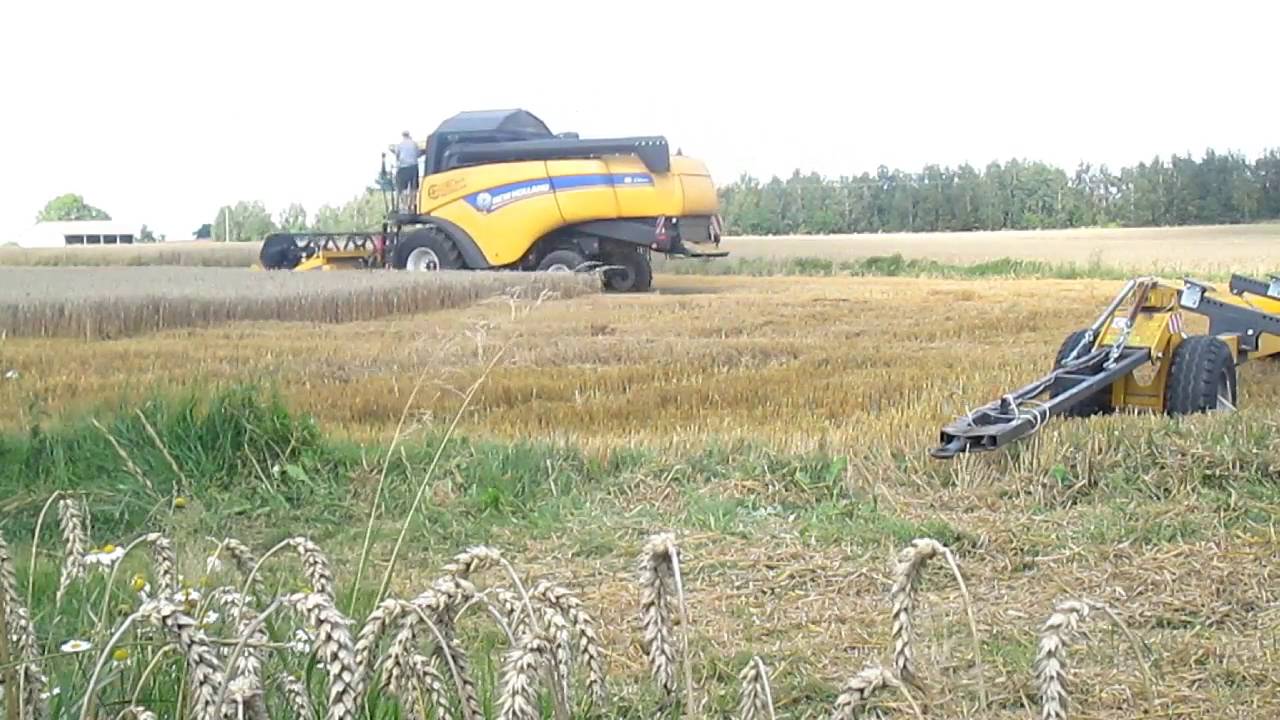 Żniwa Pszenica Lubelszczyzna new holland cx 6080 Fend Vario Pronar