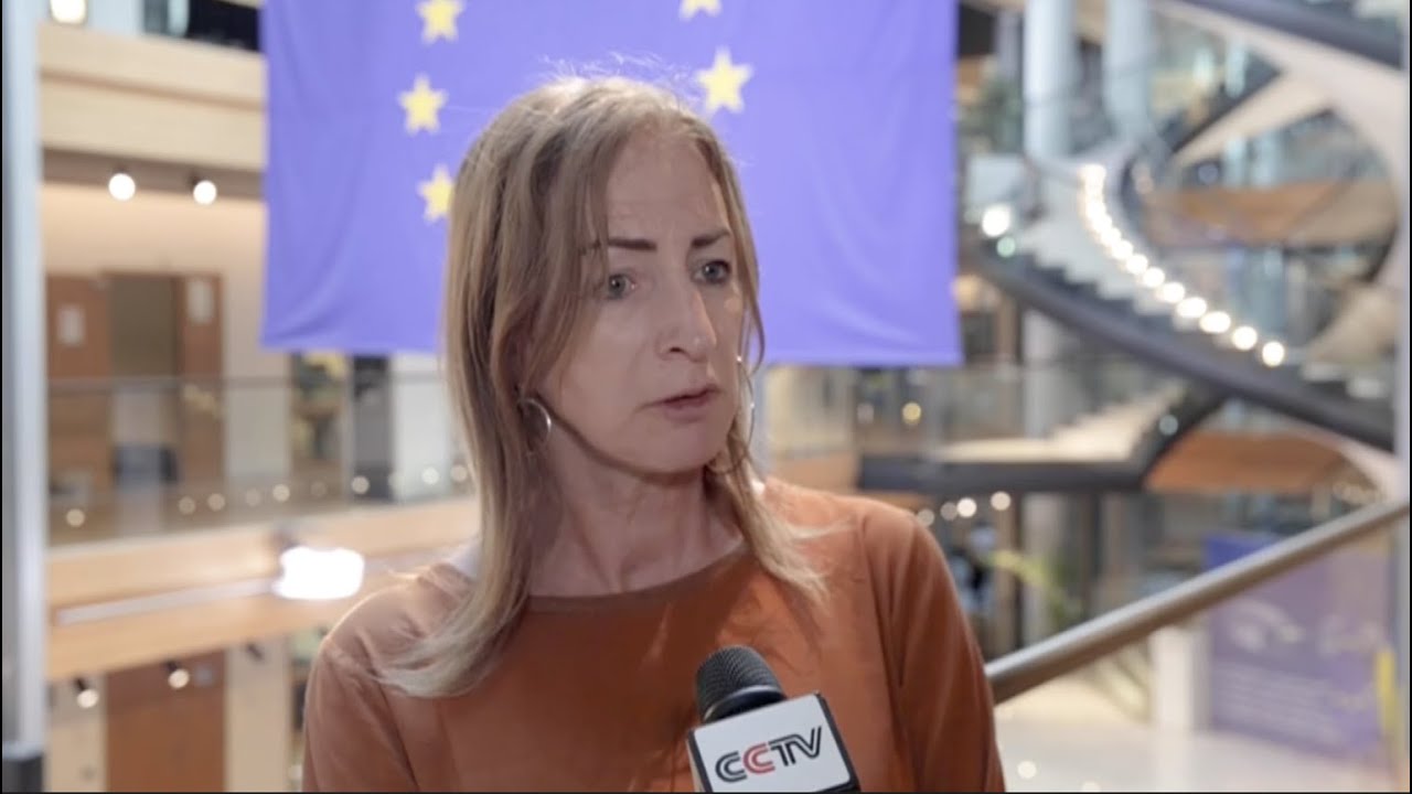 U.S. benefits the most from Ukraine crisis: European Parliament member