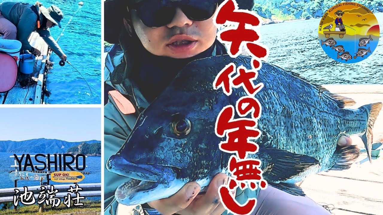 No.073 【活動再開】知る人ぞ知る矢代の筏！大チヌとの出会いに感謝の一日。