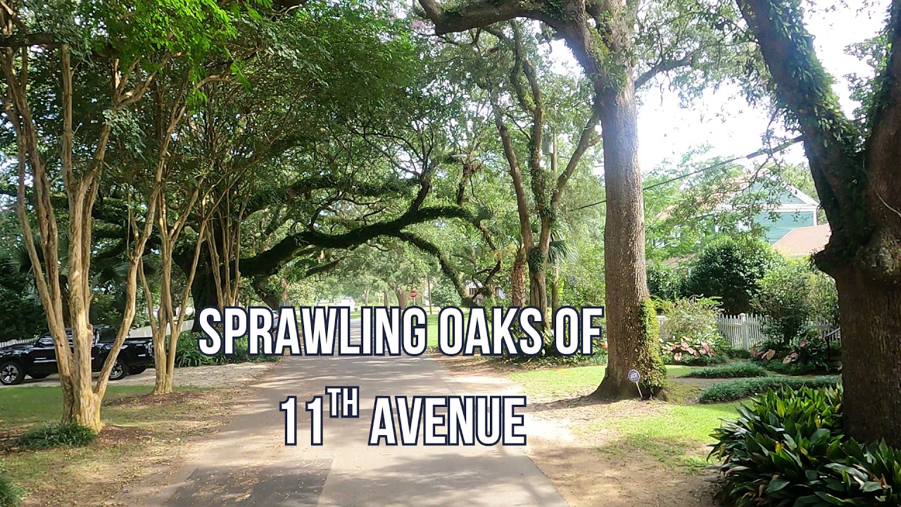 Sprawling Oaks of 11th Avenue