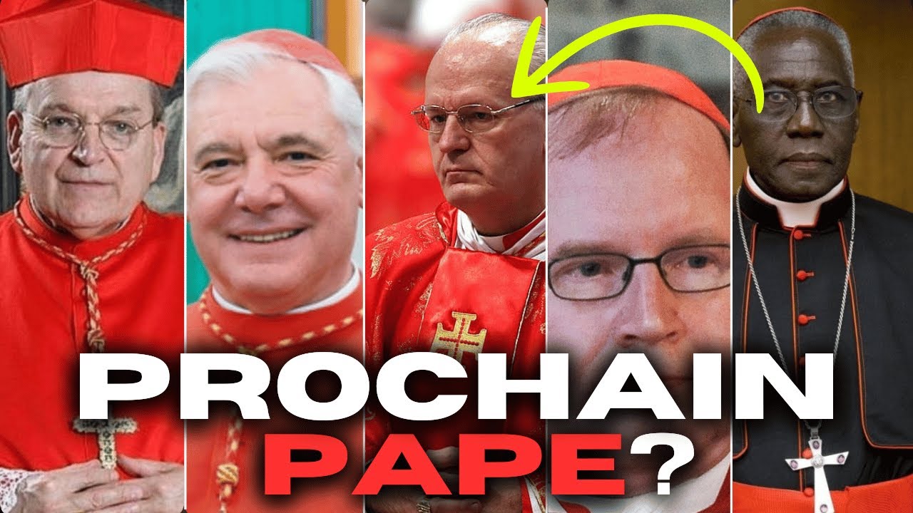 5 CARDINAUX TRADITIONNALISTES qui DÉFIERONT le CONCLAVE du PAPE FRANÇOIS