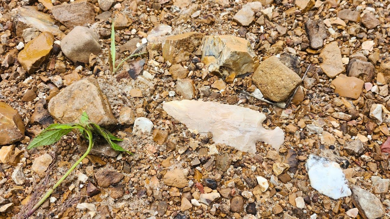 2025 is on fire 🔥. Missouri arrowhead hunting.