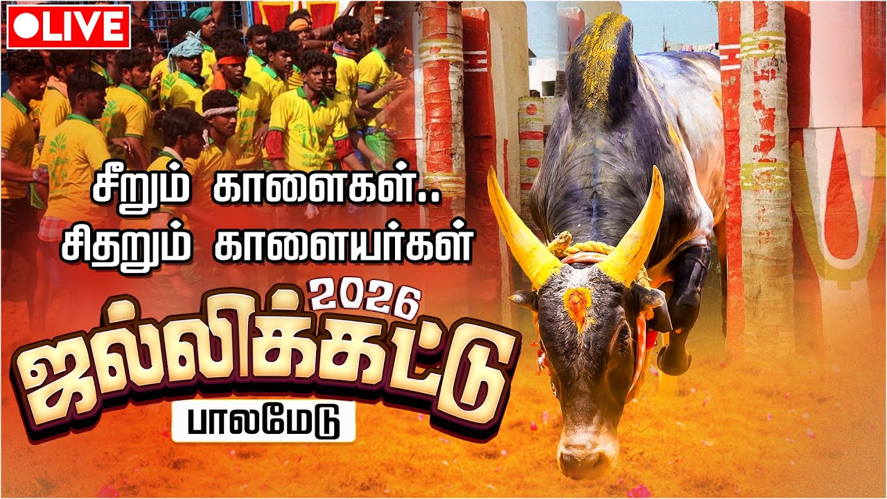 🔴LIVE: Palamedu Jallikattu | Madurai | அனல்பறக்கும் பாலமேடு ஜல்லிக்கட்டு | Madurai | IBC Tamil