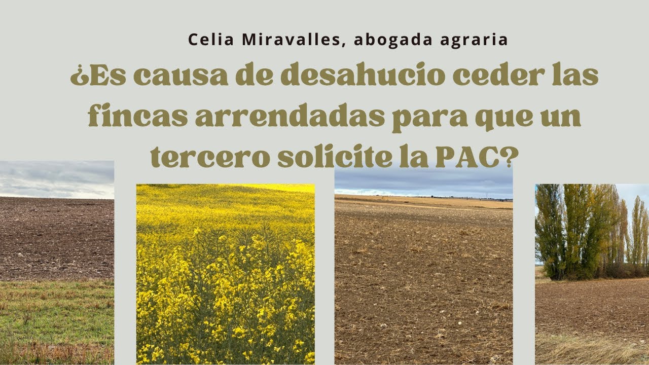 ¿Es causa de desahucio ceder las fincas arrendadas para que un tercero solicite la PAC?