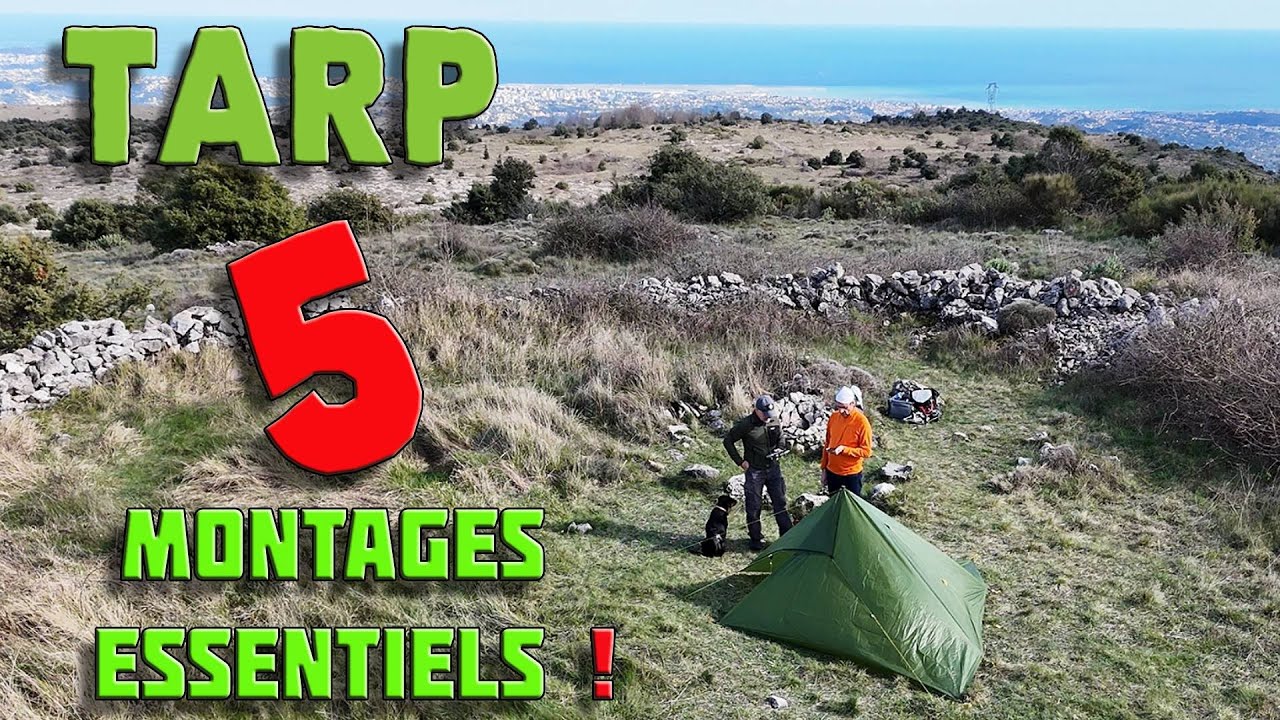 Le TARP dans tous ses états... 5 montages basiques à connaître absolument !