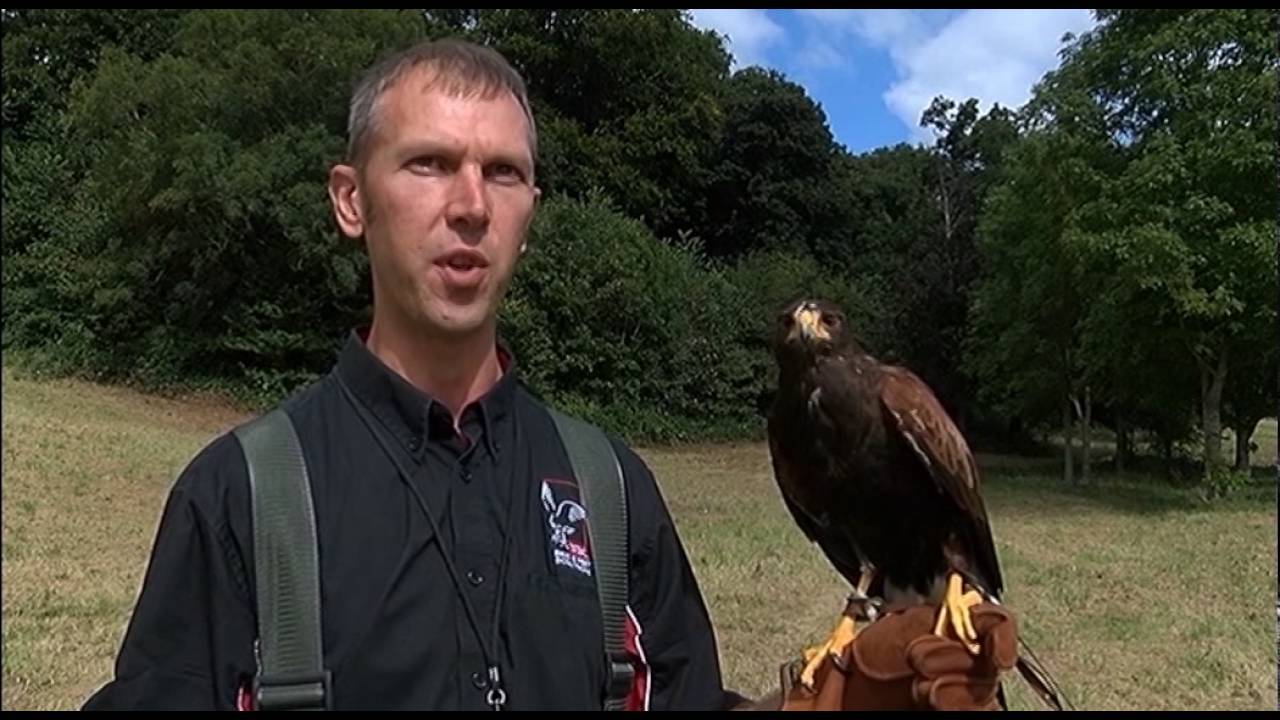 Made in Bristol | NBC Environment