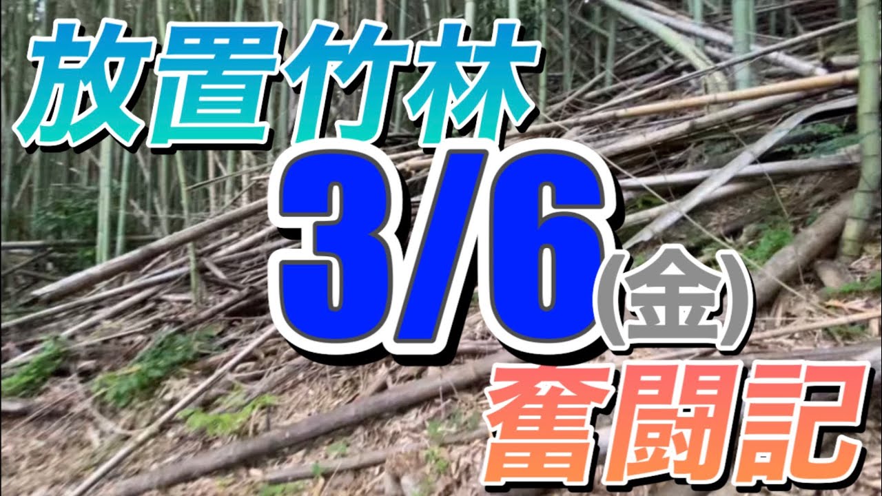 放置竹林奮闘記【早期退職者が竹を焼く日々】2026/03/06
