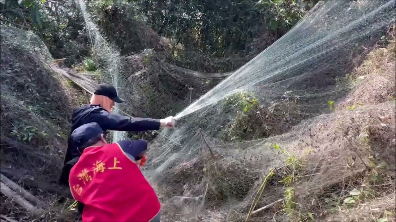 115年3月12日   永鴻隆船隊   奉何清吉理事長指示   北坑山區   取締擄鴿勒索