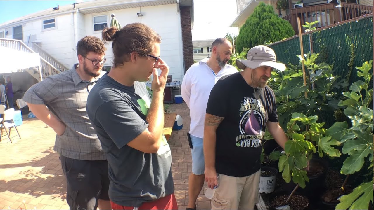 Full Fig Tour @2nd Annual Long Island Fig Fest