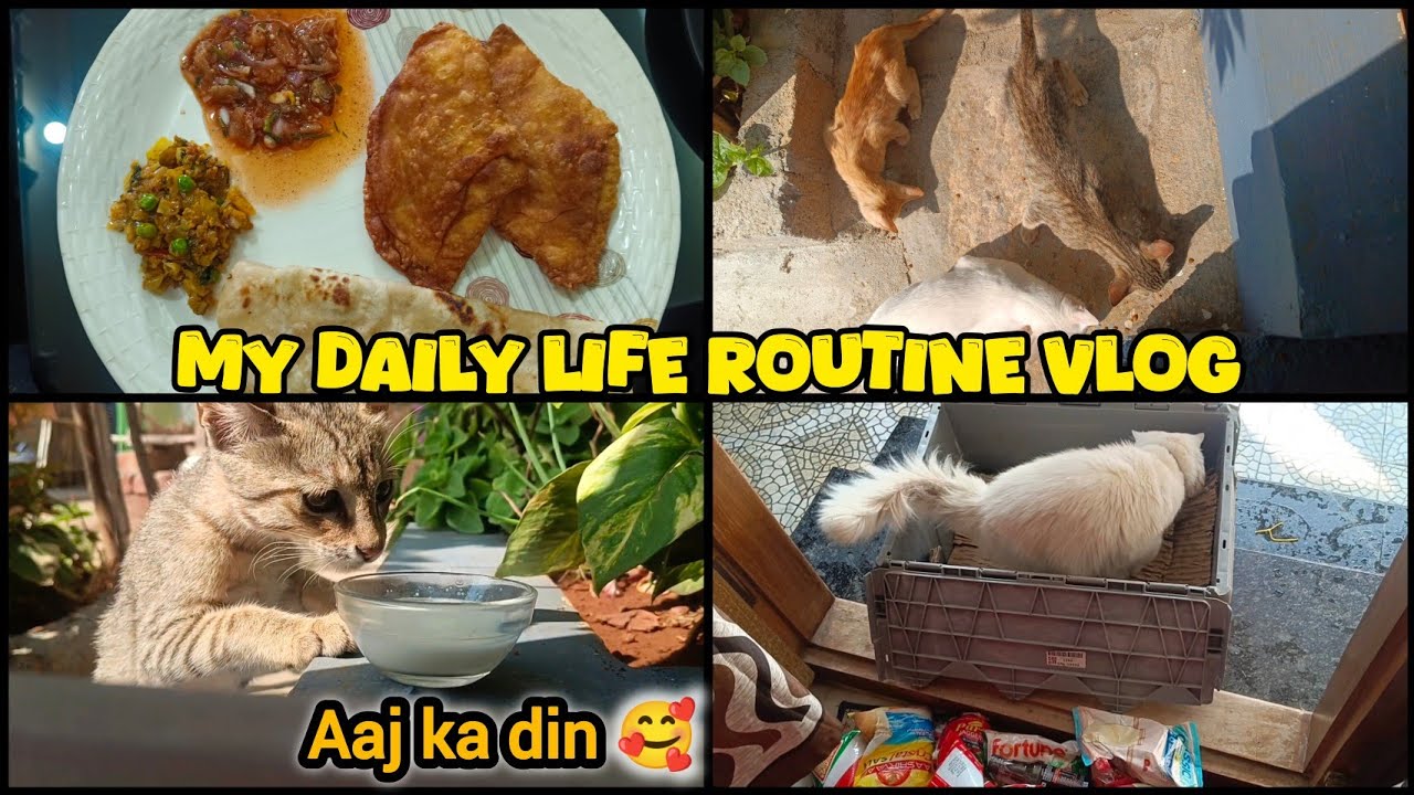 Ghar ka routine | My First Vlog Support me 🥺#vlog
