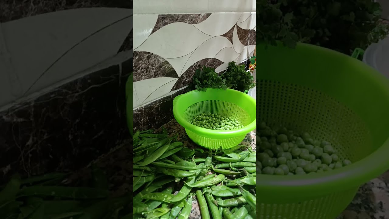 بدأت قناة 