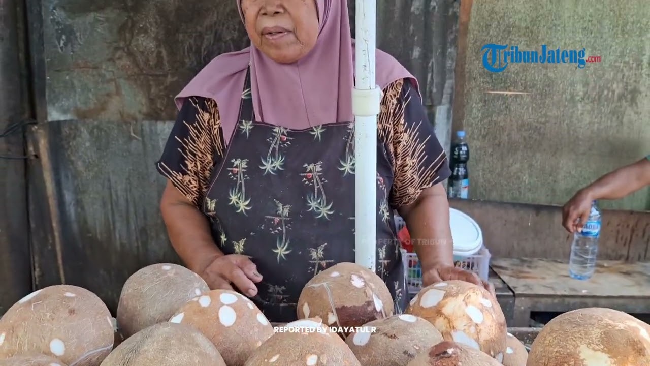 Harga Kelapa Melonjak Momen Lebaran