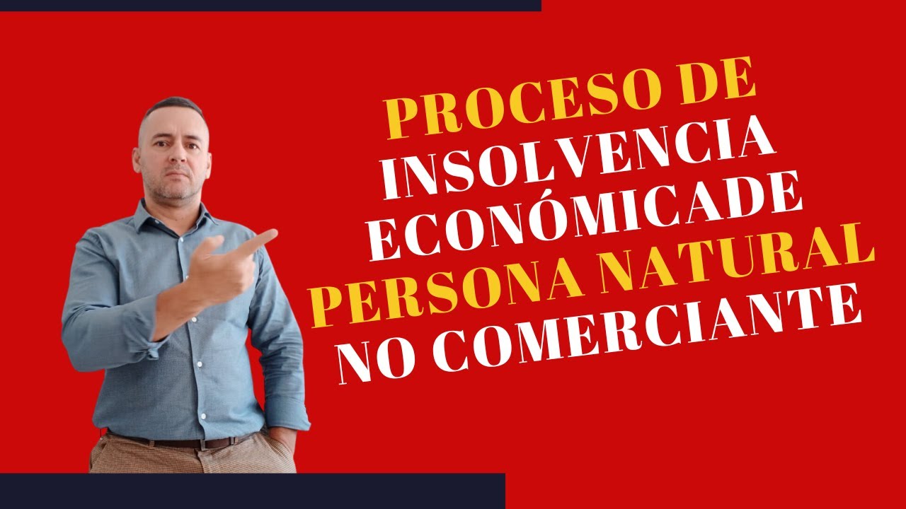 PROCESO DE INSOLVENCIA DE PERSONA NATURAL NO COMERCIANTE