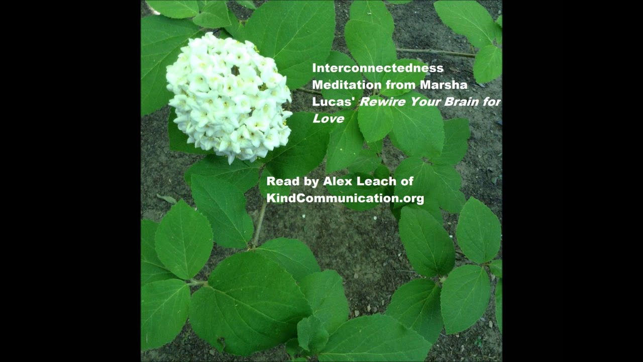 Interconnectedness Meditation