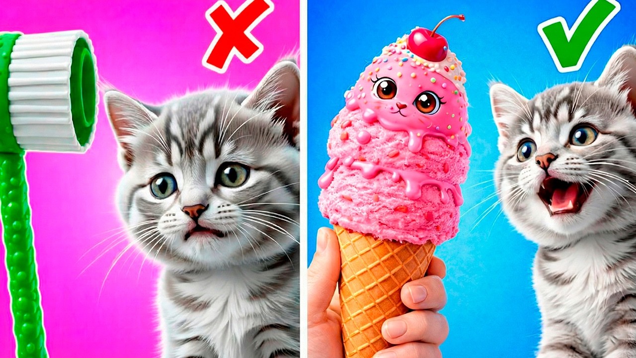 We Tested This Meow Gadgets for Cats—Watch the Results!
