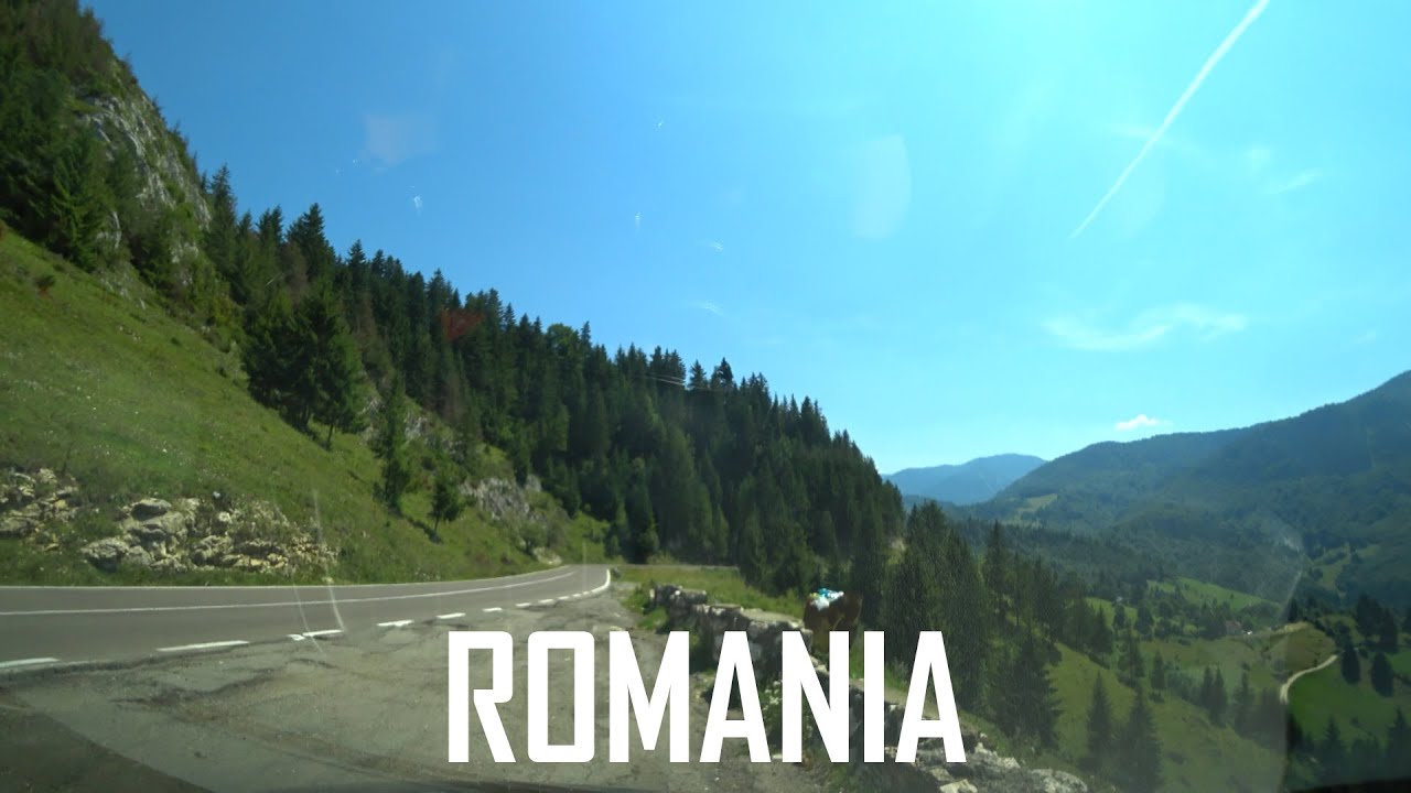 Best of #ASOT1021 | Scorz &ndash; Ephemeris, Armin Van Buuren & Sander Van Doorn &ndash; Jonson&rsquo;s Play AND MORE