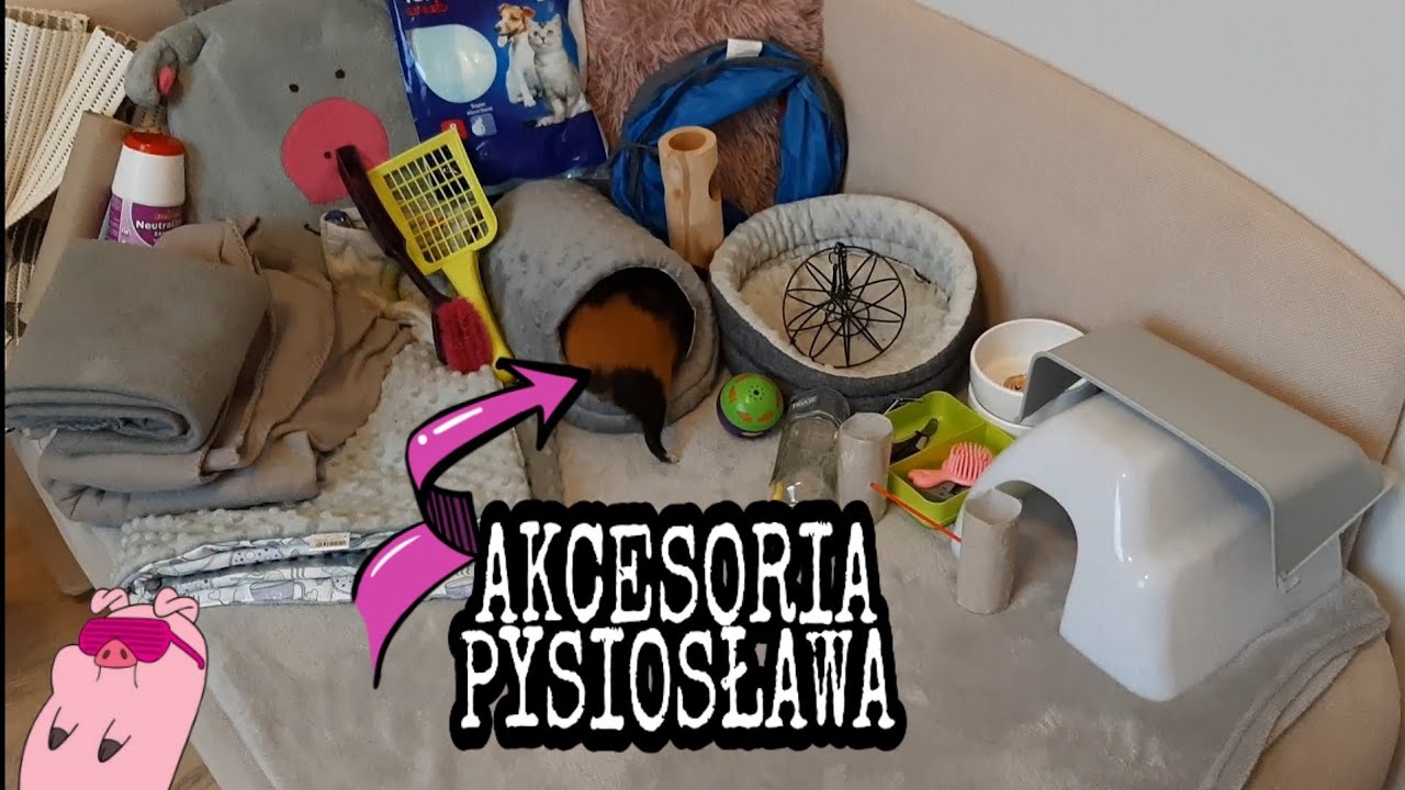 Wszystkie akcesoria
MOJEJ ŚWINKI MORSKIEJ🐷