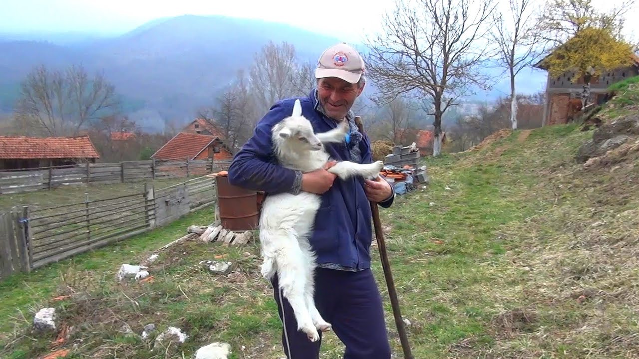 Uplaćivali mi Vitre na ime Zahid i sada nemogu podići pare.A zašto pogledajte u videu..