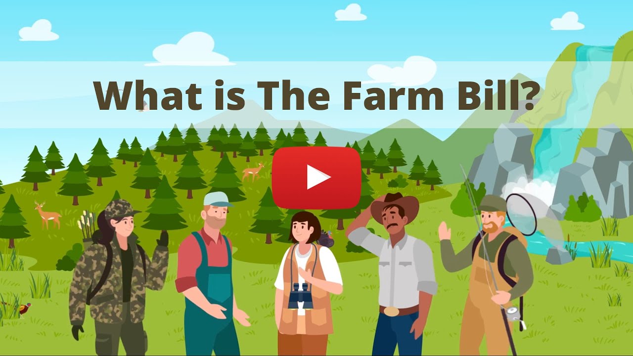 What is the Farm Bill?