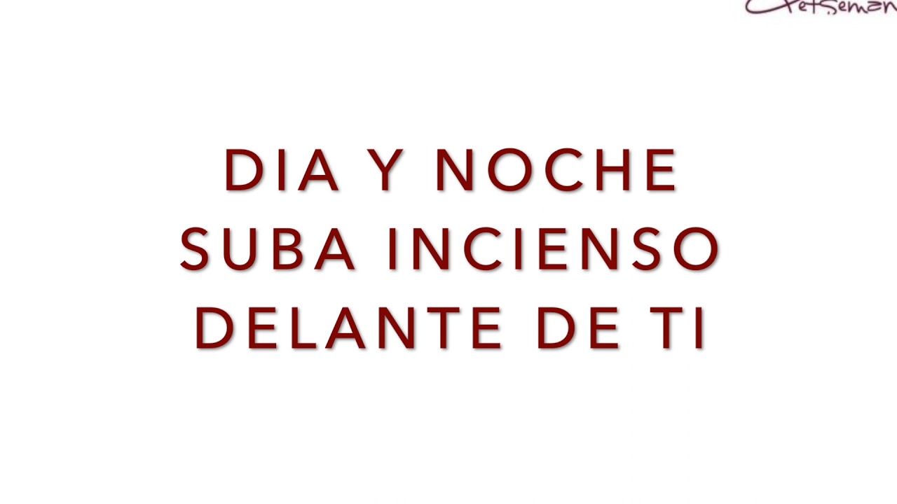 DIGNO ERES TU   PISTA