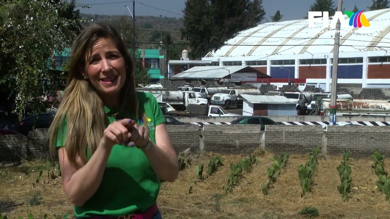 Espinosa como el nopal la falta de agua en MILPA ALTA. Vean. Gastando fortunas por pipas privadas