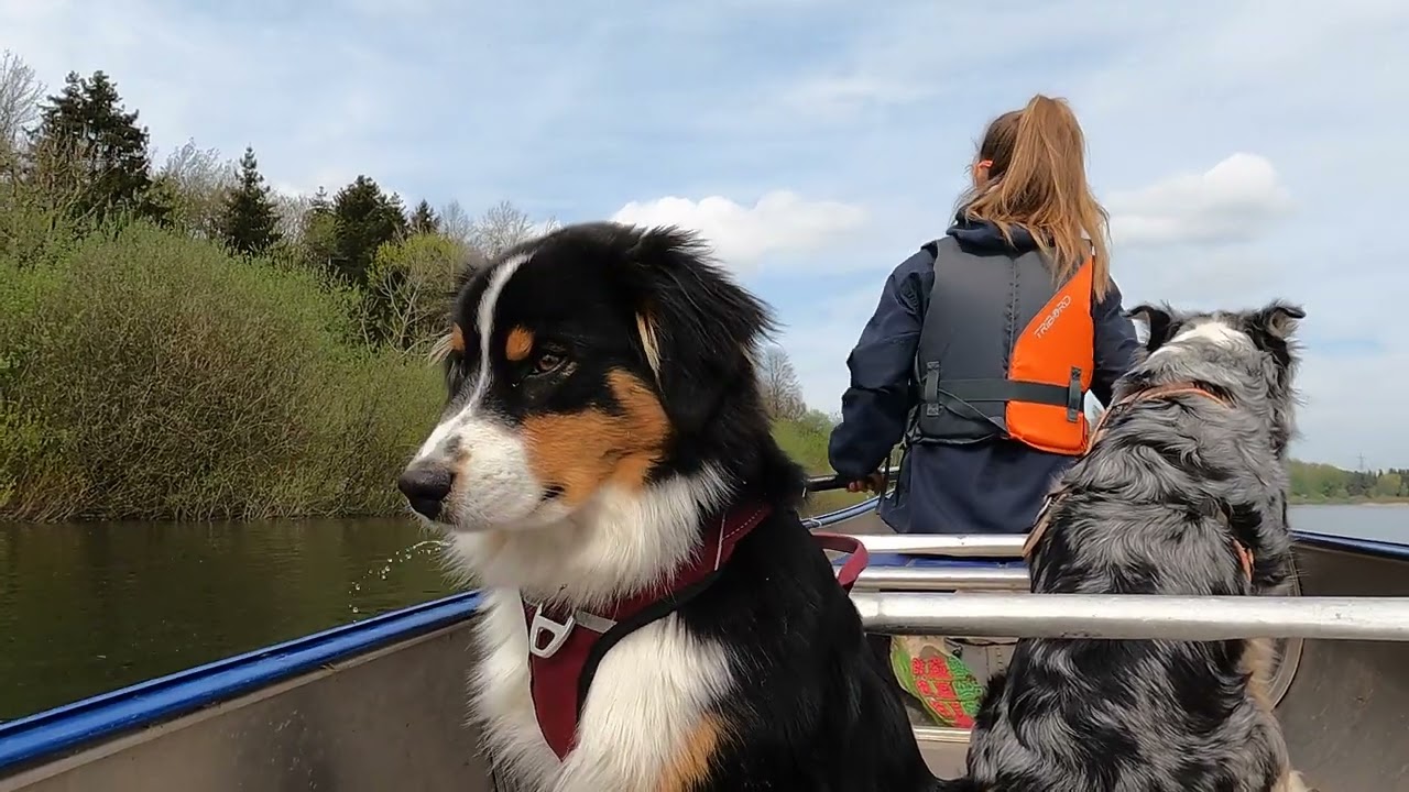 kanukassel-TV(neu):TRAVELING LIGHT - Clip 4 - Paddel-Picknick am See mit Feuer und Schweden-Feeling