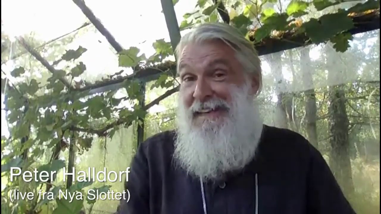 Lönneboseminaret 2020: Peter Halldorf