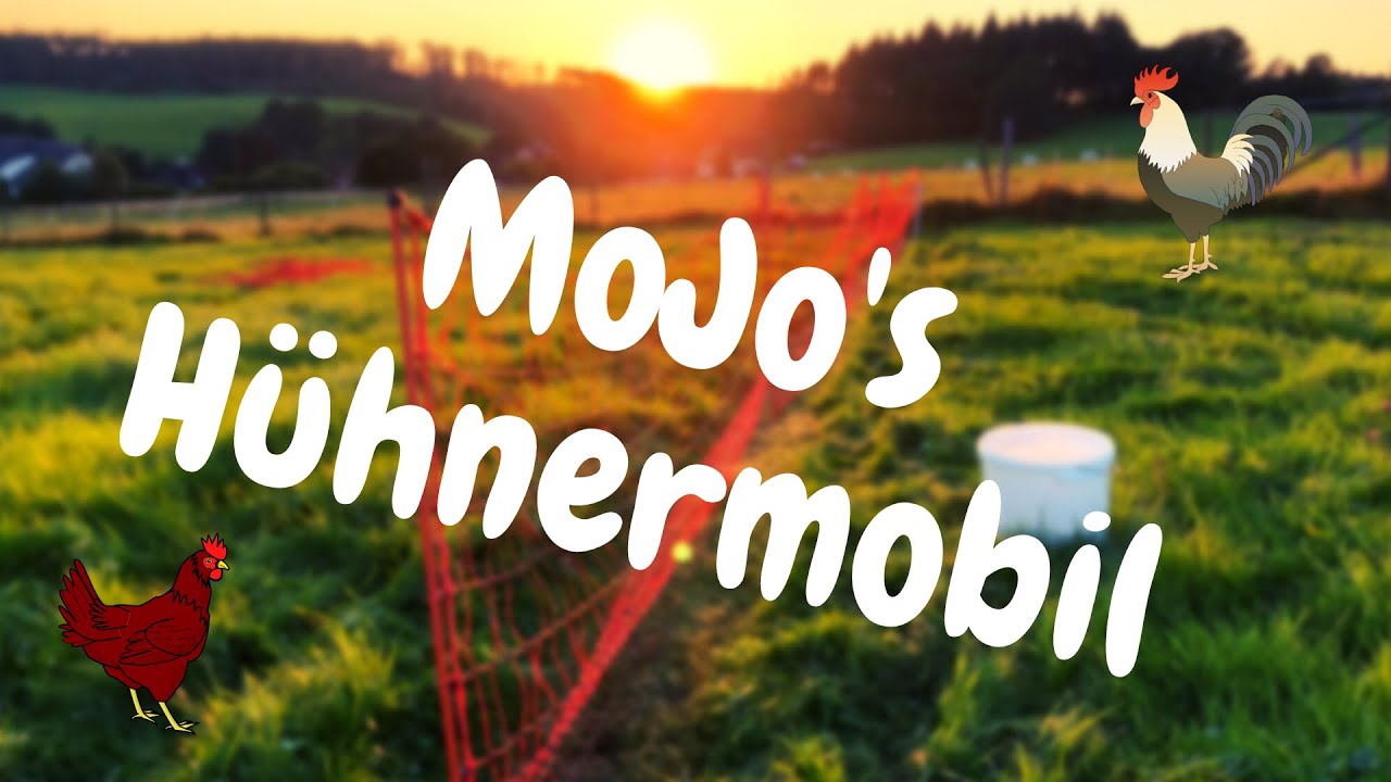 MoJo's Hühnermobil / Hühnermobil Marke Eigenbau / Bauanleitung mobiler Hühnerstall
