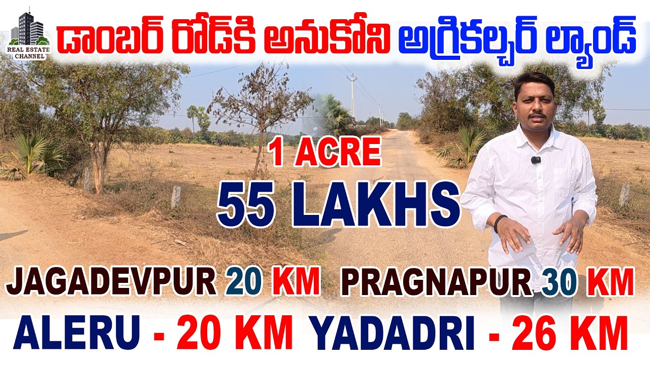 Agricultre Land Sale At Pragnapur,Jagadevpur | డాంబర్ రోడ్ కి అనుకోని అగ్రికల్చర్ ల్యాండ్ #pragnapur